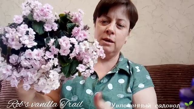 Фиалки Rob’s Vanilla Trail и другие. Небольшой обзор смотреть онлайн