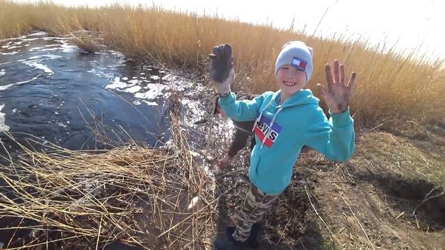 Рыбалка на паук 2021, по 50 карасей за 1 подъем ЁКЛМН. Рыбалка 2021. Рыбалка на карася смотреть онлайн