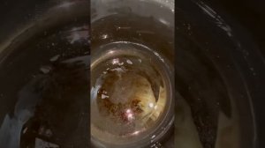 ПП шарлотка из щавеля ( сладкий пирог из щавеля)