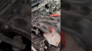 Раскаксовка и мойка двигателя Nissan X-Trail
