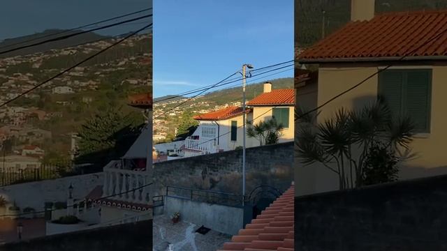 Что общего между Рональду и Дятловым? смотреть онлайн