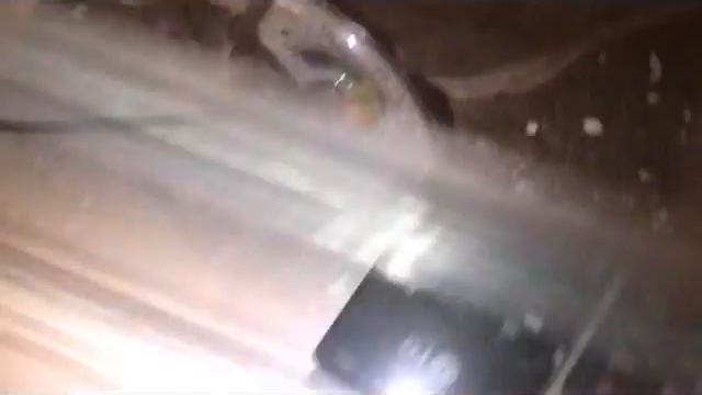 Линька паука птицееда