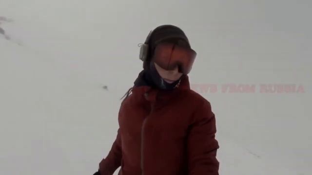 погоня белого медведя смотреть онлайн