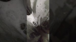 Бойлер косвенного нагрева Роял Термо. Что показало вскрытие.