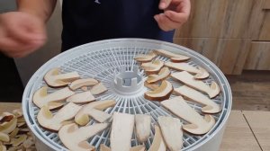 Сушка белых грибов - Как правильно сушить грибы в домашних условиях