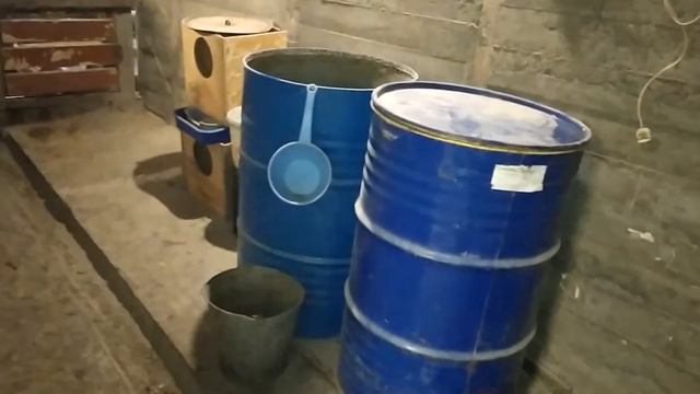 #Готовы ли кролики к Новому году# смотреть онлайн