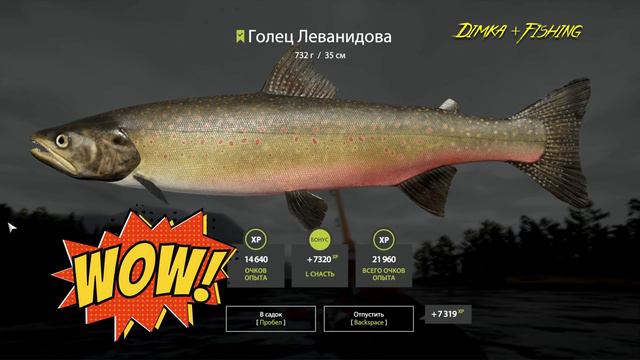 Русская рыбалка 4.🎣🦈 р. Яма 🐬🐬🐬💦 РЫБАЛКА на СПИННИНГ от LATORSO 👀 смотреть онлайн