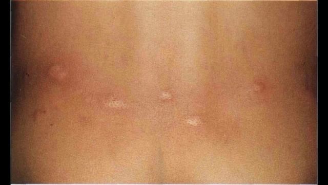 Строительные Призраки