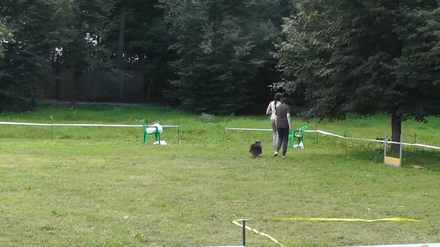 УСКЦ "Останкино" - обидиенс 10.08.2013 г. смотреть онлайн