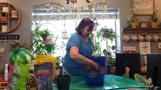 Como preparo mi Sustrato para Plantas de Interior y Cactus. Potting Soil mixture for indor plants смотреть онлайн