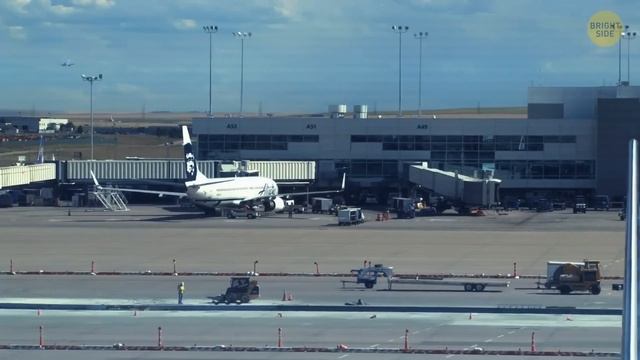 7 Spooky Airport Stories That Will Make You Never Want to Fly Again смотреть онлайн