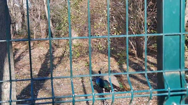 Это наш день 💪| Глобальное чтение | Жизнь с аутизмом смотреть онлайн