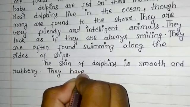 The Dolphins Essay In English | Facts Of Dolphins Paragraph | 10 Lines On Dolphins | The Dolphins смотреть онлайн