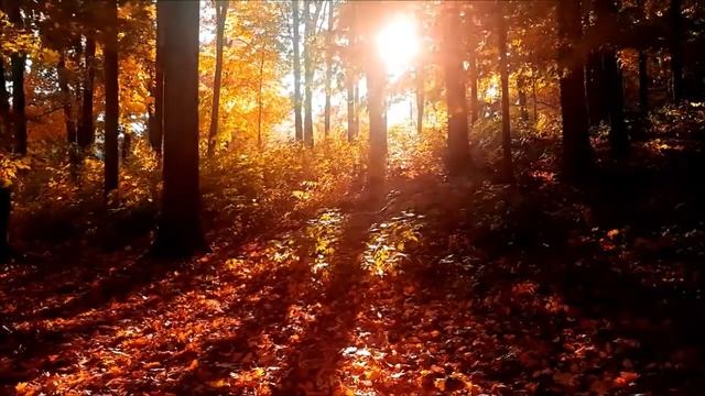 Читает Галина Кубыкина ОСЕННЯЯ ЭЛЕГИЯ смотреть онлайн