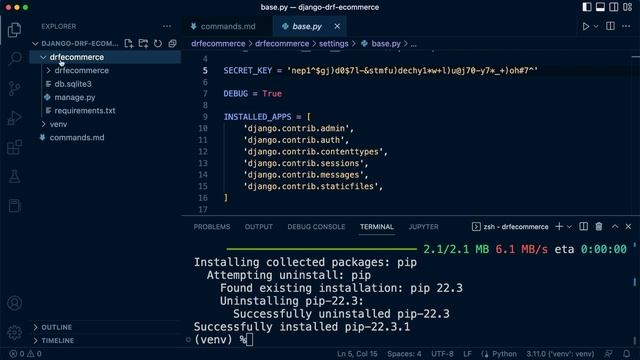 Django DRF Project | Configuring Environment Variables | 5 смотреть онлайн