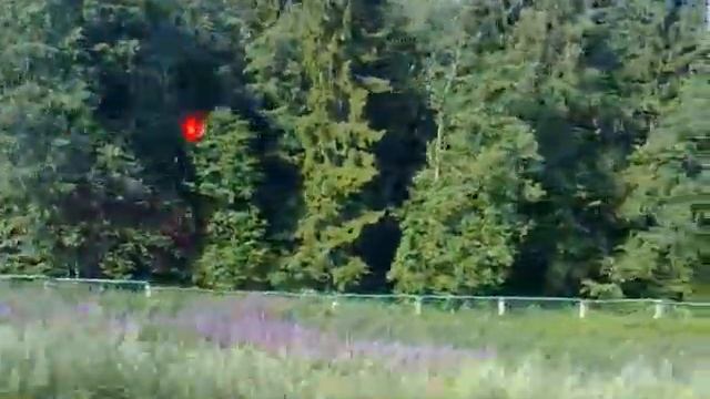 Из окна поезда, "Воронеж-Санкт-Петербург" 3, 22 июля 2014г. 23072014612 смотреть онлайн