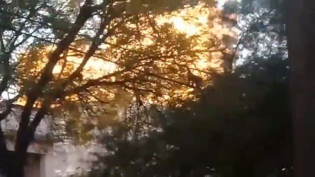 Un mono en el centro смотреть онлайн