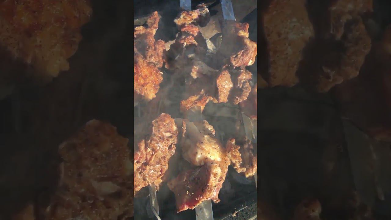 Дневник мангала