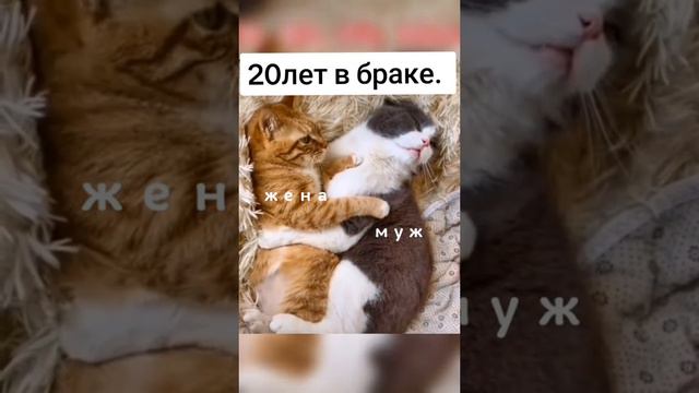 1 год в браке. смотреть онлайн