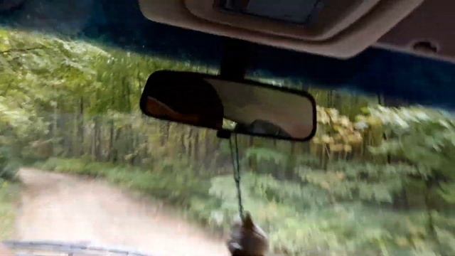 Поездка за грибами в заволжские леса. смотреть онлайн