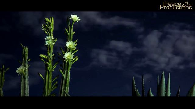 Allah Allah | Yusuf Al Ayoub