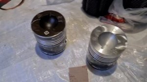 "Моторист" или "Моторист +" какая поршневая лучше завода FORSAR