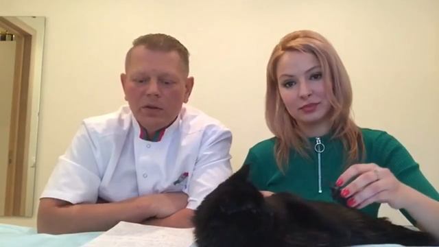 Фелинотерапия. Лечение печени кошками. смотреть онлайн