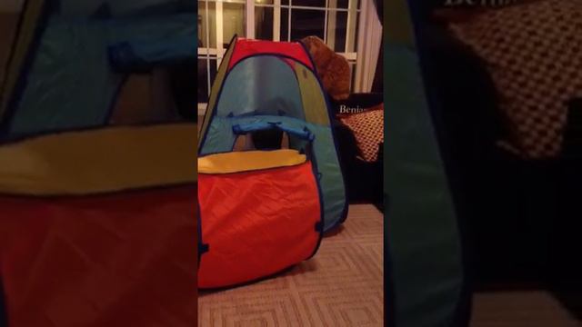 Bongo slap Ben смотреть онлайн