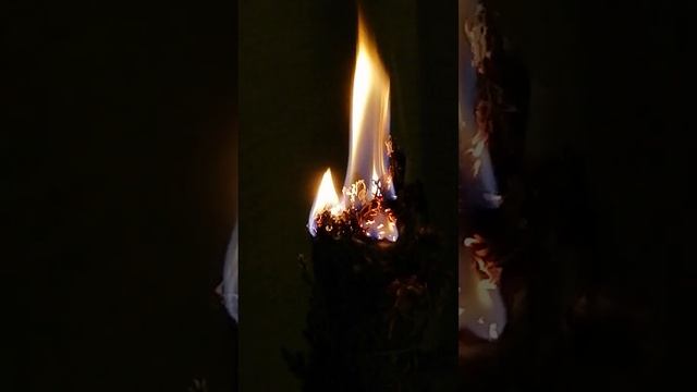 Большая? чистка ваших отношений в коллективе, дома, карьеры, финанцев, открываем дороги. смотреть онлайн