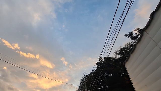 ТАКИХ ЗАКАТОВ ВЫ ЕЩЕ НЕ ВИДЕЛИ! АРГЕНТИНА, ОГНЕННАЯ ЗЕМЛЯ, УШУАЯ. ARGENTINA, TDF, USHUAIA🇦🇷🐧 смотреть онлайн
