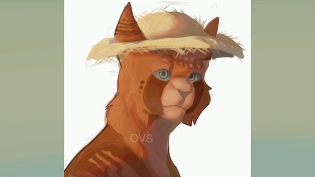 Speed Paint | OVS | OC
