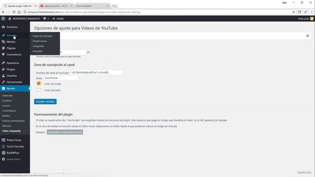 Instalar y configurar plugin GRATUITO de WordPress para hacer adaptables los vídeos de Youtube смотреть онлайн