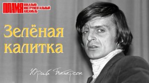 ВИА «ПЛАМЯ» - Зеленая калитка | Солист Юрий Петерсон