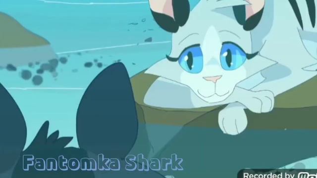 Крутобок и Серебрянка клип |Я Тебя Лав| коты Воители смотреть онлайн