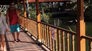 Вараны в отеле Ayodya Resort. Бали