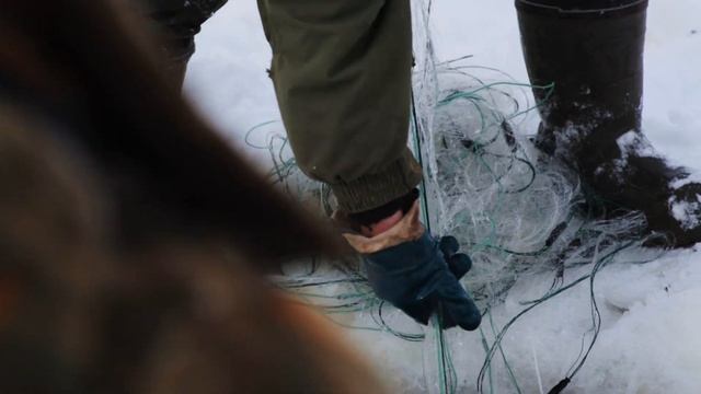 LavkaLavka смотреть онлайн