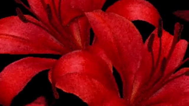 С днём рождения, Люба! смотреть онлайн