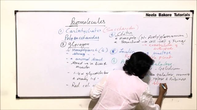 Biomolecules | NEET | Carbohydrates - Polysaccharides - Glycogen, Chitin, etc. | Neela Bakore смотреть онлайн