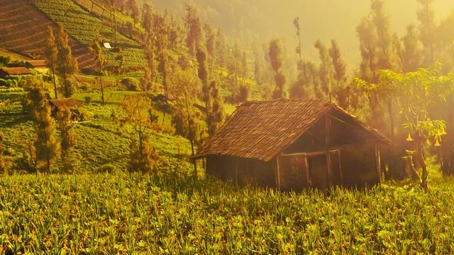 Java - Indonesia смотреть онлайн