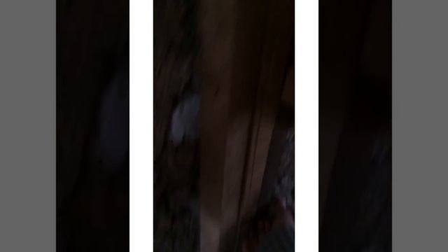 Имена моих кроликов 🐇 смотреть онлайн