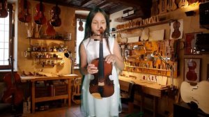 История создания скрипки и ее строение.