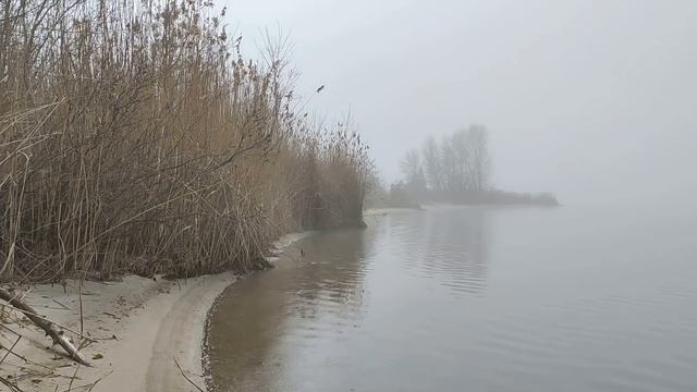 12 апреля 2021 Новолуние. Огненная луна. Влияние луны. Что можно и нельзя делать .Начало новой жизн смотреть онлайн