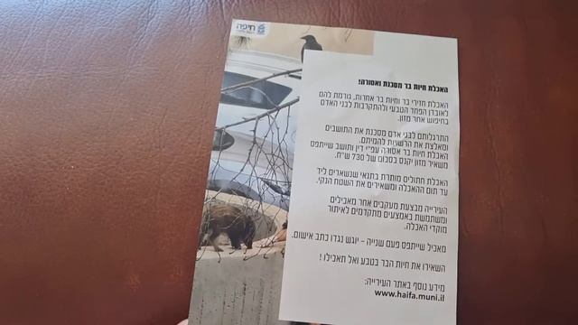 Кормление диких животных запрещено? 18.07.2022 г. смотреть онлайн