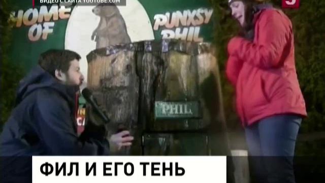 Предсказания сурка Фила смотреть онлайн