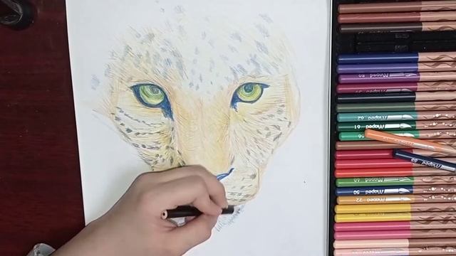 BRRR! how to draw a leopard ?/как нарисовать леопард?/subscribe!? смотреть онлайн