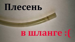 Как очистить внутри шланг от плесени