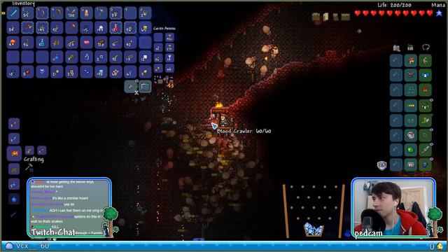 200 SPIDERS!! // Terraria Invasion Playthrough // Episode 10 смотреть онлайн