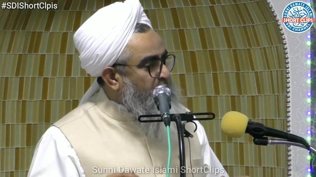 Ants In Islam • Ek Buzurg Ne Jab Chintiyo Ko Bahar Feka To Allah Ne Kya Kiya • Maulana Shakir Noori смотреть онлайн