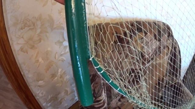 Снасть, которая ловит любую рыбу смотреть онлайн