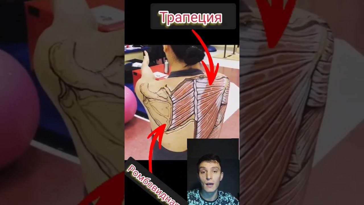 Укрепление мышц для улучшения осанки. #осанка #реабилитация #лечениеспины смотреть онлайн